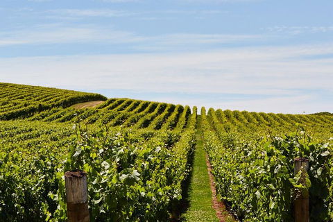 West Tamar Wine Tour - Attractions Sydney 2