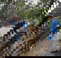 Fully guided E-Mountain Bike Tour on the beautiful Mornington Peninsula. - Attractions Sydney
