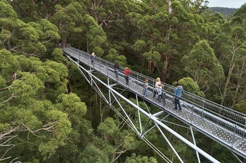 6 Days Perth All-Inclusive Touring Package With Wildflowers ( Seasonal) - Attractions Sydney 3