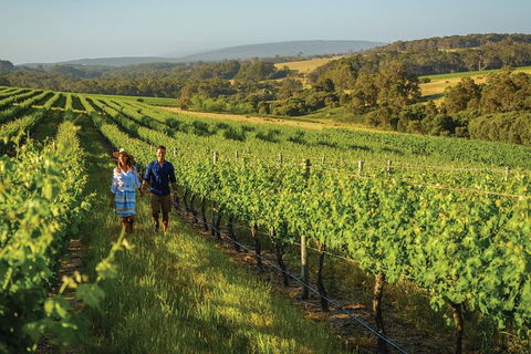 6 Days Perth All-Inclusive Touring Package With Wildflowers ( Seasonal) - Attractions Sydney 4
