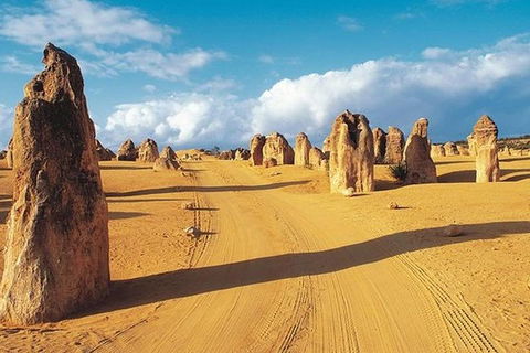 6 Days Perth All-Inclusive Touring Package With Wildflowers ( Seasonal) - Attractions Sydney 5