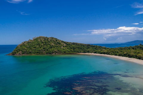 Daintree And Cape Tribulation Tour From Cairns - Attractions Sydney 4