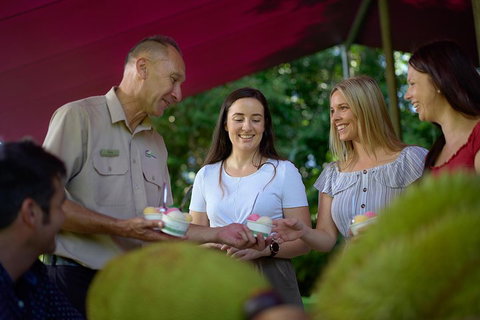 Daintree And Cape Tribulation Tour From Cairns - Attractions Sydney 5