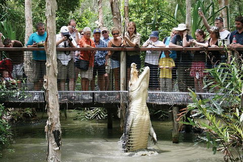 Hartley's Crocodile Adventure Half-Day Tour - Attractions Sydney 1