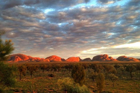 5-Hour Kata Tjuta Sunrise Tour From Ayers Rock With Breakfast - Attractions Sydney 1