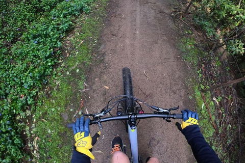 Explore Downhill Mountain In 3-Hour Bike Tour From Hobart - Attractions Sydney 2