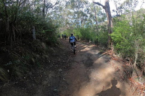 Explore Downhill Mountain In 3-Hour Bike Tour From Hobart - Attractions Sydney 3
