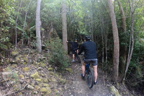 Explore Downhill Mountain In 3-Hour Bike Tour From Hobart - Attractions Sydney 4