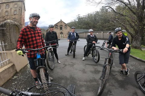 Explore Downhill Mountain In 3-Hour Bike Tour From Hobart - Attractions Sydney 5