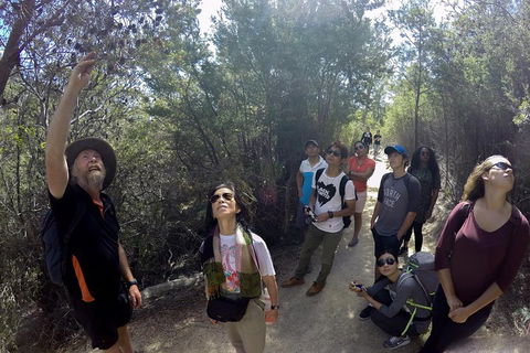 Active Day Tour One-Way From Launceston To Hobart Via Wineglass Bay - Attractions Sydney 0