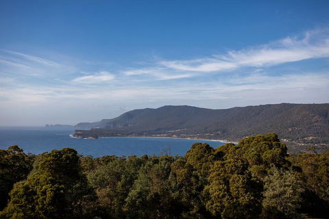 Port Arthur And Tassie Devils Active Day Tour From Hobart - Attractions Sydney 5