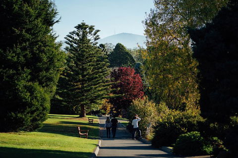 Private Royal Tasmanian Botanical Gardens Walking Tour - Attractions Sydney 1