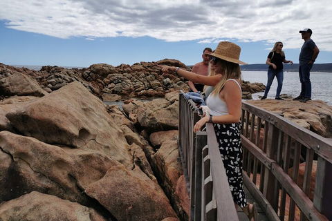 Margaret River Impression Day Tour From Perth - Attractions Sydney 4
