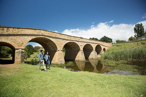 Bonorong Wildlife Park And Richmond Afternoon Tour From Hobart - Attractions Sydney 0