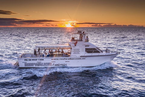 Kalbarri Sunset Coastal Cliff Cruise - Attractions Sydney 2