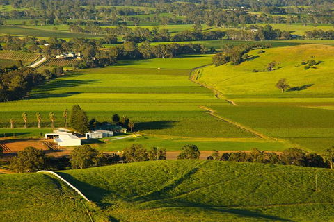 Full-Day Wine World Tour In Barossa - Attractions Sydney 2