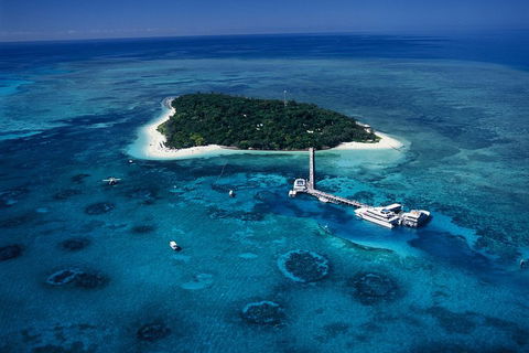 Green Island Day Trip Including Seawalker Helmet Dive COMBO - Attractions Sydney 5