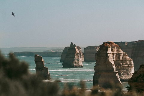 Half-Day Or Full-Day Tour With Private Guide From Melbourne - Attractions Sydney 0