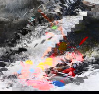 Barron Gorge National Park Half-Day White Water Rafting from Cairns or Port Douglas - Attractions Sydney
