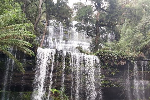 6-Day Hearty Tasmania Tour (Tasmania In A Circle) - Attractions Sydney 0