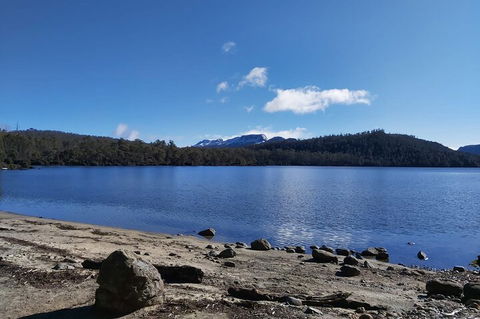 6-Day Hearty Tasmania Tour (Tasmania In A Circle) - Attractions Sydney 1