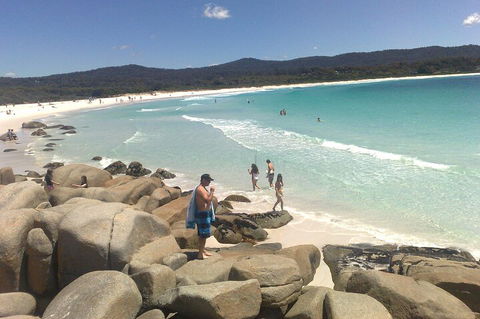 6-Day Hearty Tasmania Tour (Tasmania In A Circle) - Attractions Sydney 3