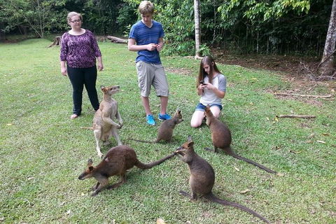 Small Group Blue Mountains Day Tour From Sydney - Attractions Sydney 2