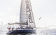 Sydney Private Tour And Sip And Sail Experience - thumb 4