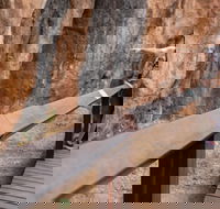 Chillagoe Caves and Outback Day Trip from Cairns - Attractions Sydney