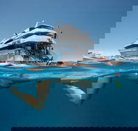 3 Day Great Barrier Reef Daintree Rainforest and Outback Chillagoe Tour - Attractions Sydney