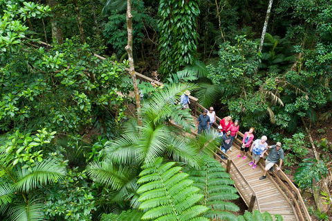 2 Day Daintree Rainforest, Cape Tribulation And Outback Chillagoe Tour - Attractions Sydney 3