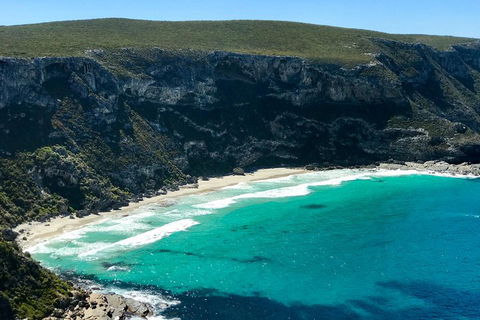 Kangaroo Island Scenic Trail Tour - Attractions Sydney 4