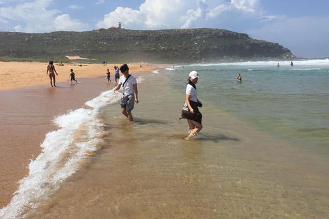 Small-Group Sydney's Northern Beaches And Ku-ring-gai National Park Bus Tour - Attractions Sydney 5