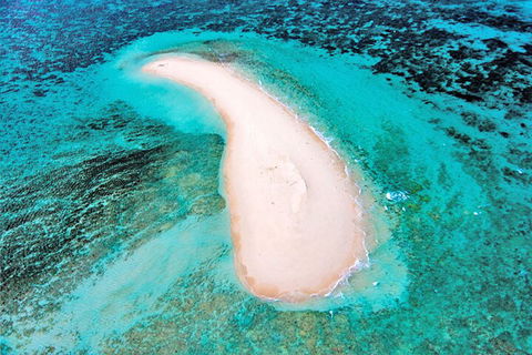 Private Coral Cay Bubbles Tour - Attractions Sydney 3