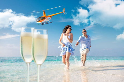 Private Coral Cay Bubbles Tour - Attractions Sydney 4