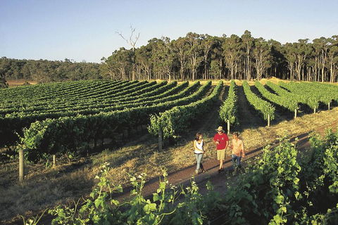 Margaret River, Caves, Wine And Cape Leeuwin Lighthouse Tour From Perth - Attractions Sydney 1