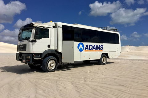 Pinnacles Desert, Koalas And Sandboarding 4WD Day Tour From Perth - Attractions Sydney 2