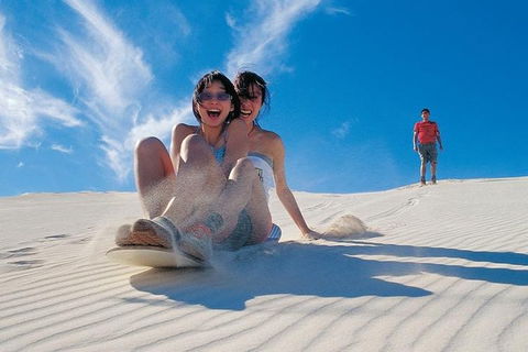 Pinnacles Desert, Koalas And Sandboarding 4WD Day Tour From Perth - Attractions Sydney 3