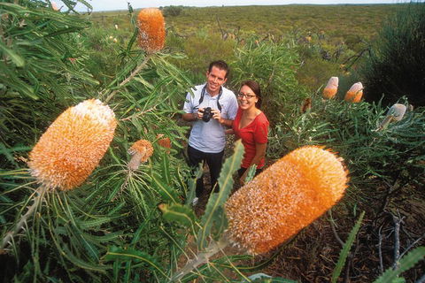 Best Of Perth Wildflower Season Day Trip - Attractions Sydney 0