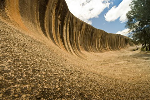 Wave Rock, York, Wildflowers, And Aboriginal Cultural Day Tour From Perth - Attractions Sydney 0