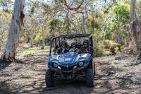 Small-Group Buggy Tour at Little Sahara with Guide, North Cape