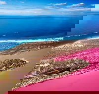 Pink Lake Small-Group Buggy Tour - Attractions Sydney