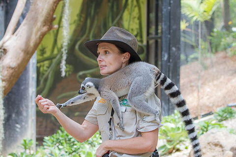 Currumbin Wildlife Sanctuary General Entry Ticket - Attractions Sydney 1
