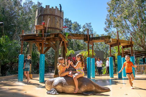 Currumbin Wildlife Sanctuary General Entry Ticket - Attractions Sydney 5