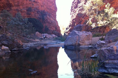 West MacDonnell Private Tour With Transfer - Attractions Sydney 2