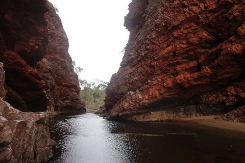 West MacDonnell Ranges Half - Day Tour - Attractions Sydney 4