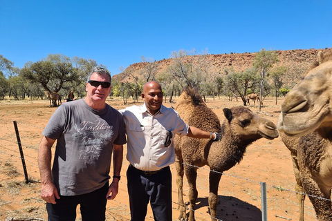 West MacDonnell Ranges Half-Day Small-Group Tour With Camel Ride - Attractions Sydney 1
