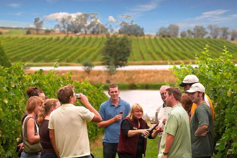 Yarra Valley Wine And Winery Tour From Melbourne - Attractions Sydney 0
