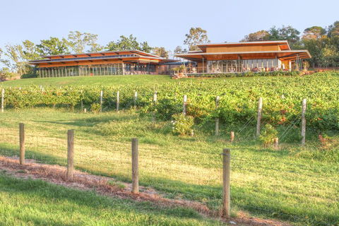 Yarra Valley Wine And Winery Tour From Melbourne - Attractions Sydney 1