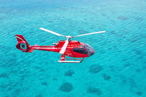 Cruise To Moore Reef Pontoon And Return Helicopter Flight From Cairns - Attractions Sydney 1